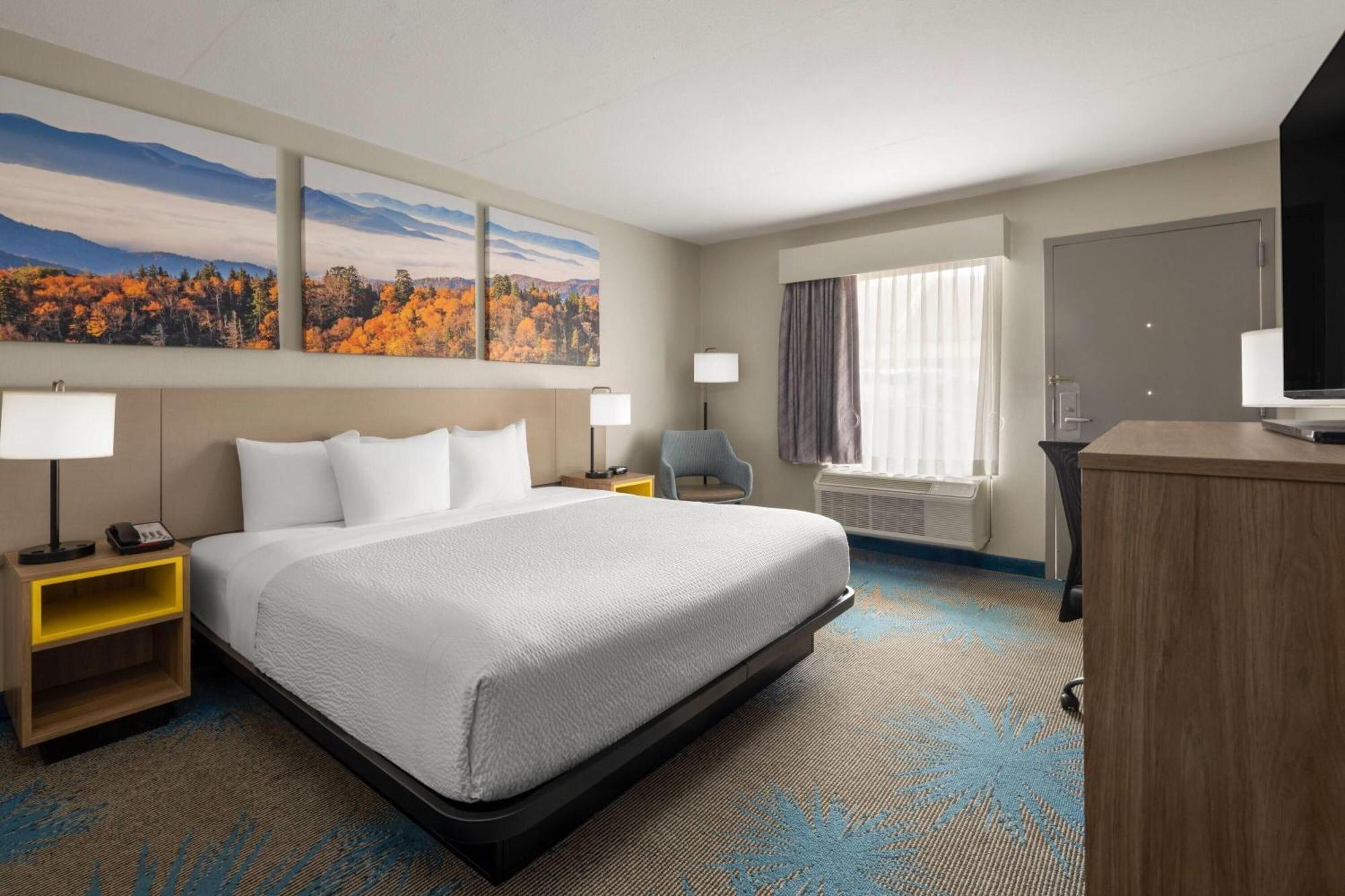 King Room Mobility Access Pet Friendly or Non-Smoking