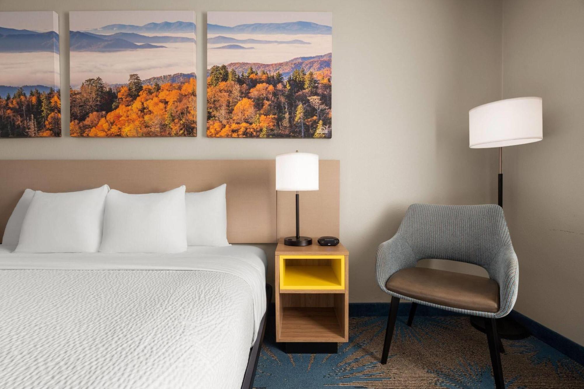 King Room Mobility Access Pet Friendly or Non-Smoking