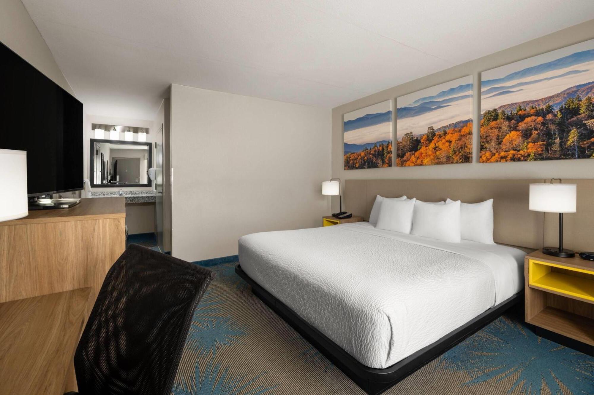 King Room Mobility Access Pet Friendly or Non-Smoking
