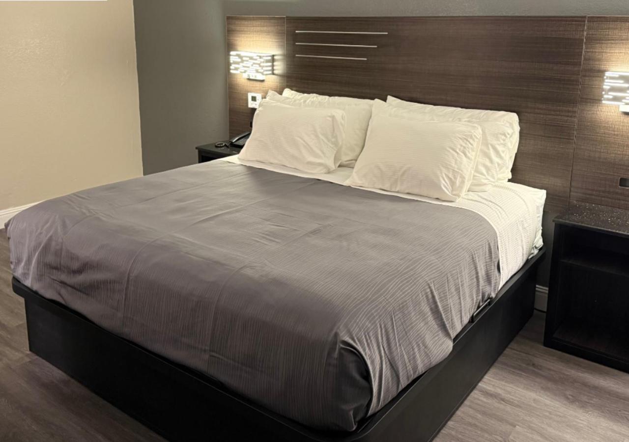 King Studio with Sofa Bed
