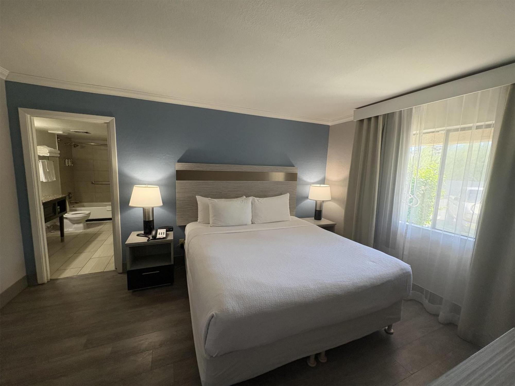 Large Two-Room King Suite with Sofa Bed - Non-Smoking
