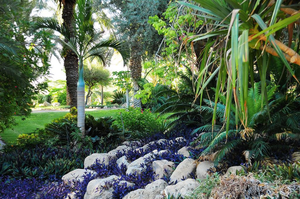 Superior Double or Twin Room with Garden View