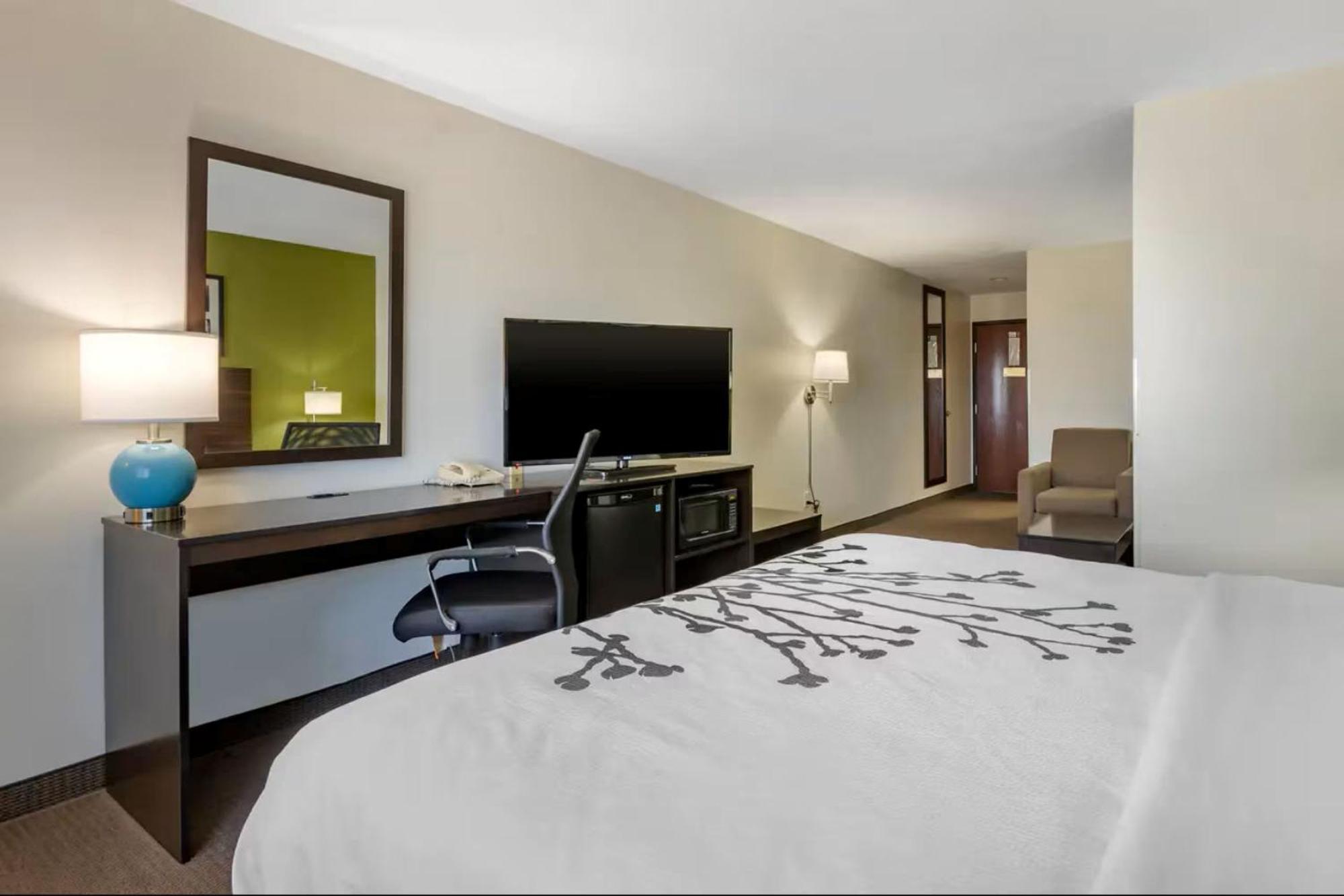 King Room Disability Access or Non-Smoking