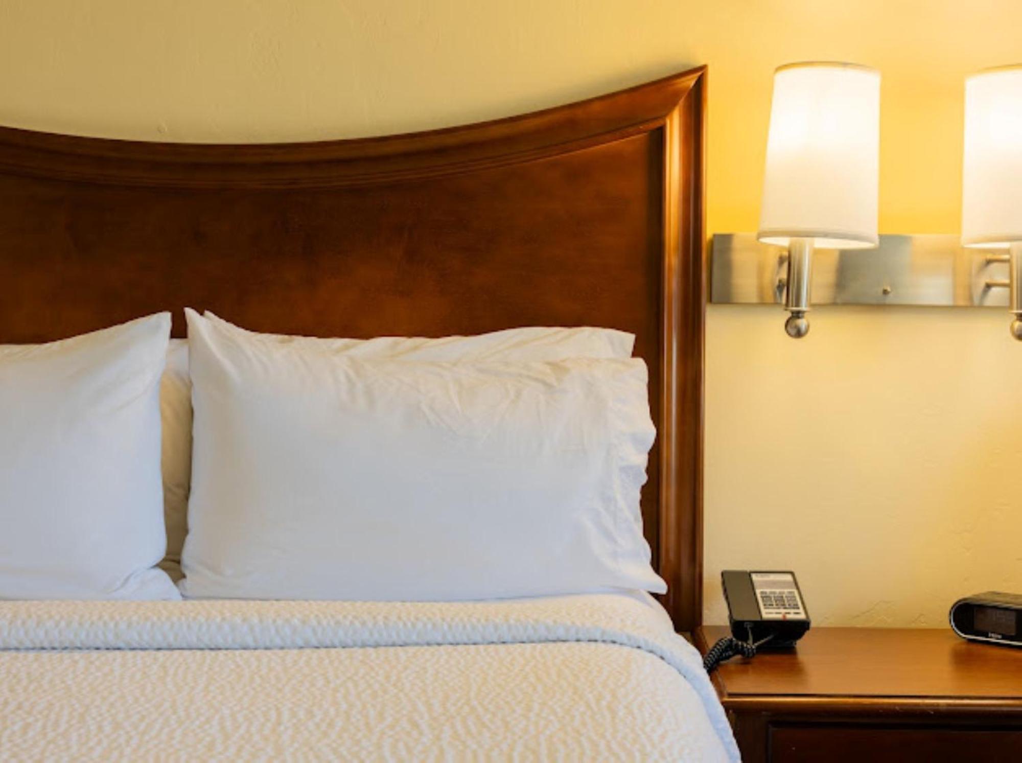 Habitación Doble con cama extragrande y ducha a ras de suelo - Adaptada para personas con movilidad reducida - No fumadores