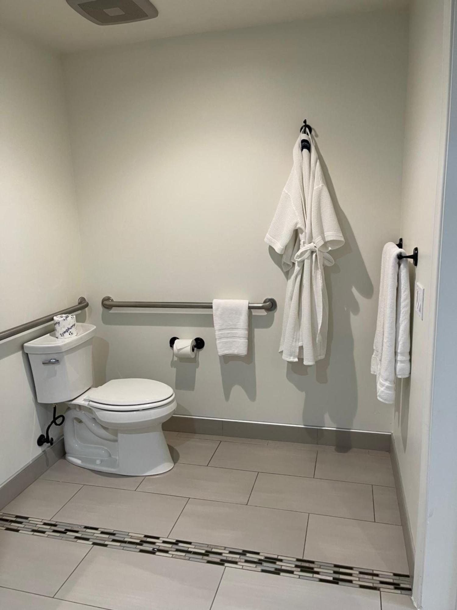 King Room Roll Shower Disability Access