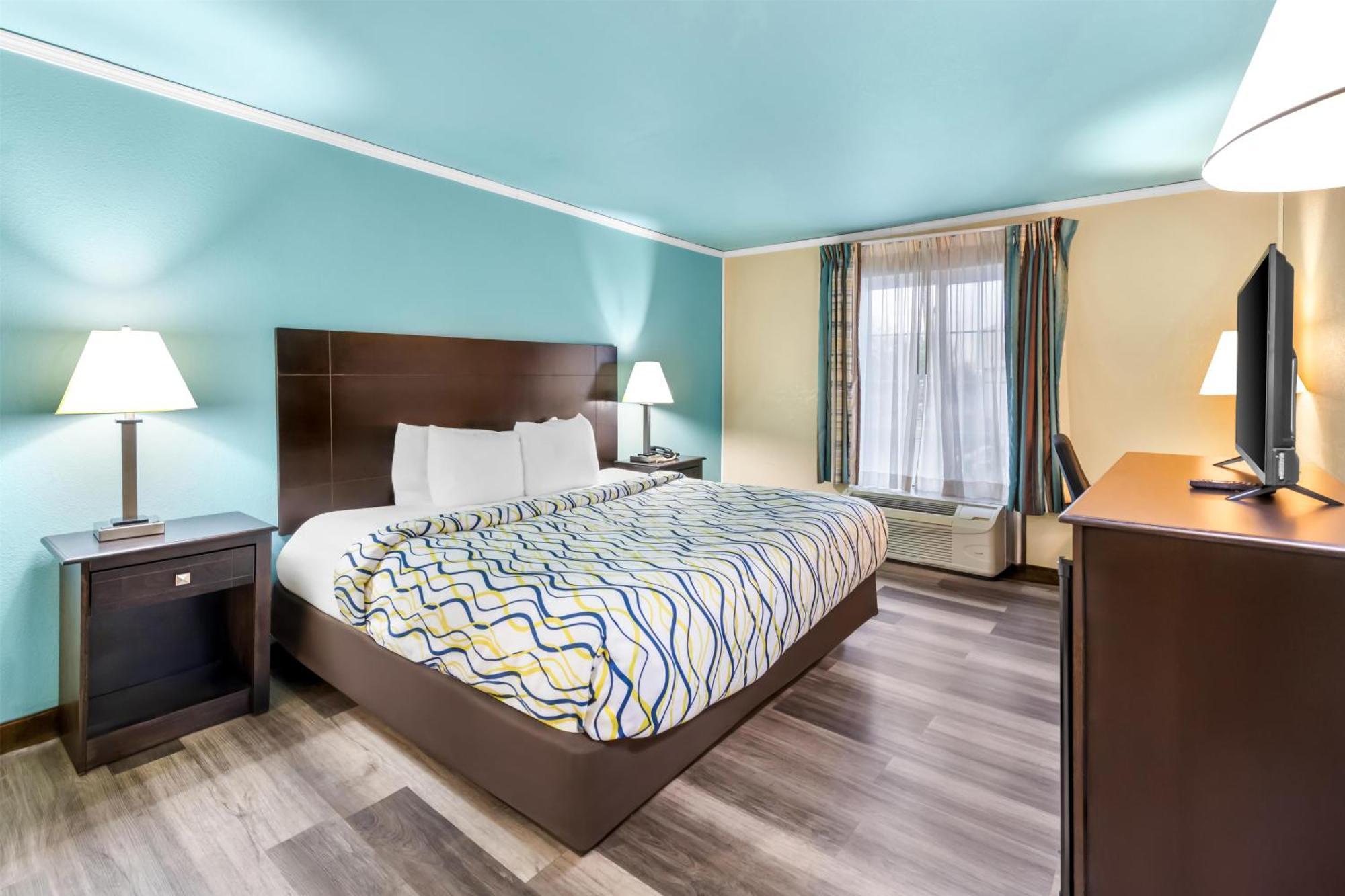 King Room - Pet-Friendly/Non-Smoking