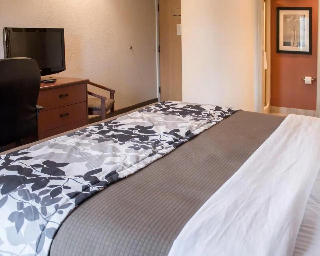 Queen Room - Accessible/Non-Smoking