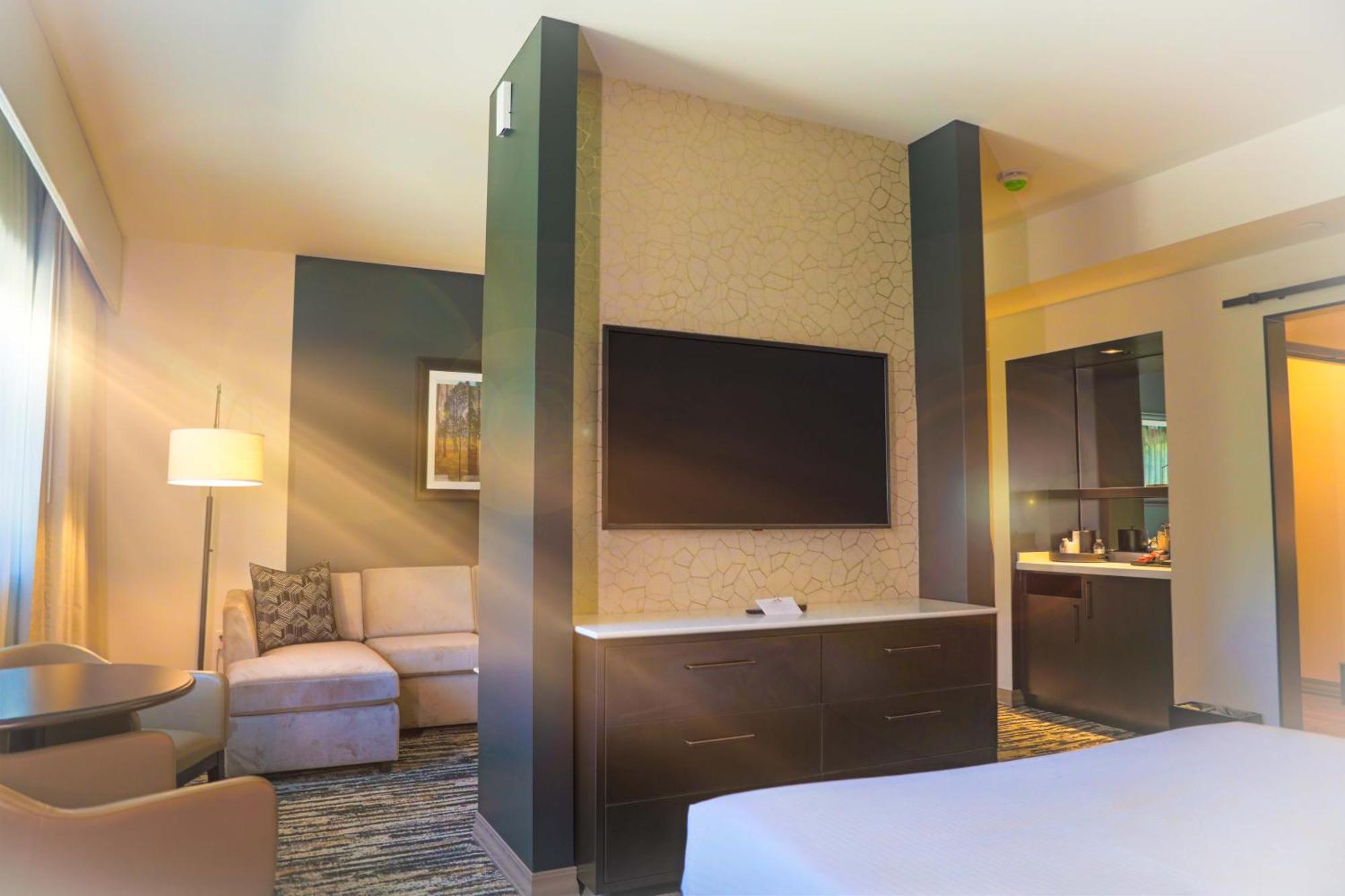Deluxe King Suite