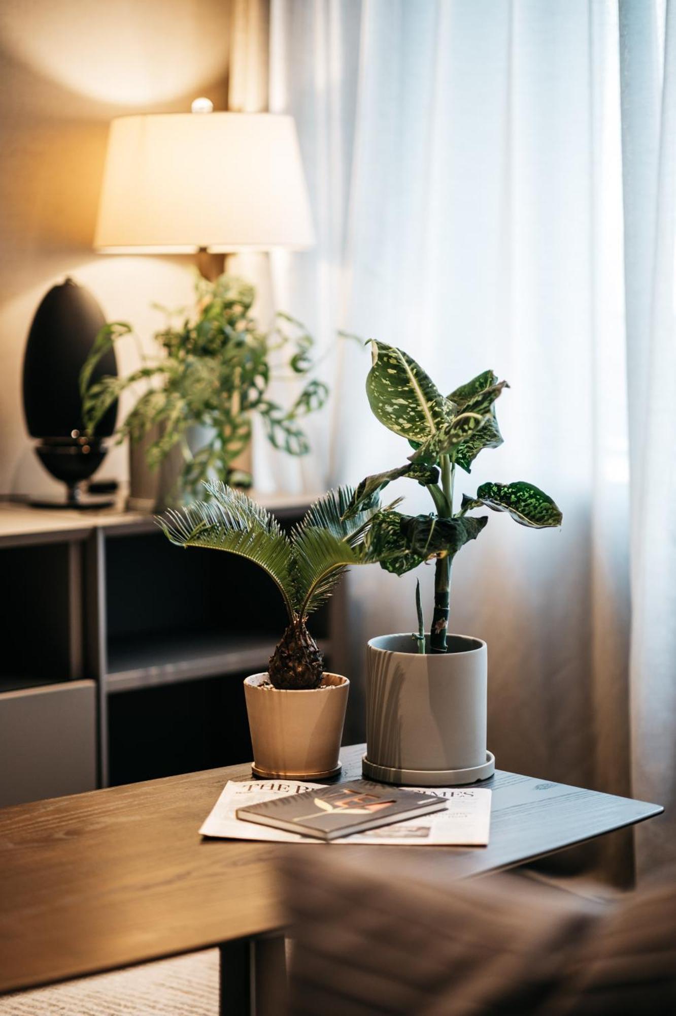 One-Bedroom Premier