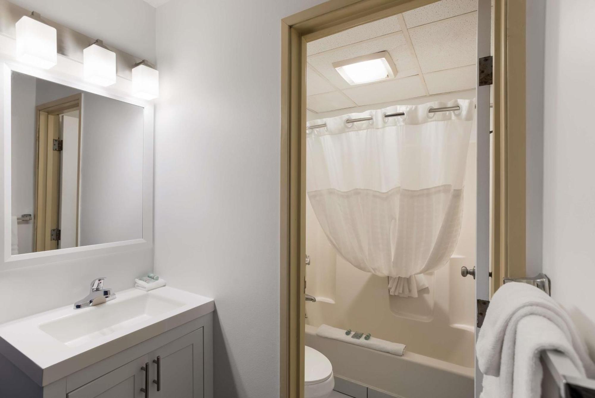Two-Room King Suite with Sofa Bed and Full Kitchen - Pet Friendly/Non-Smoking