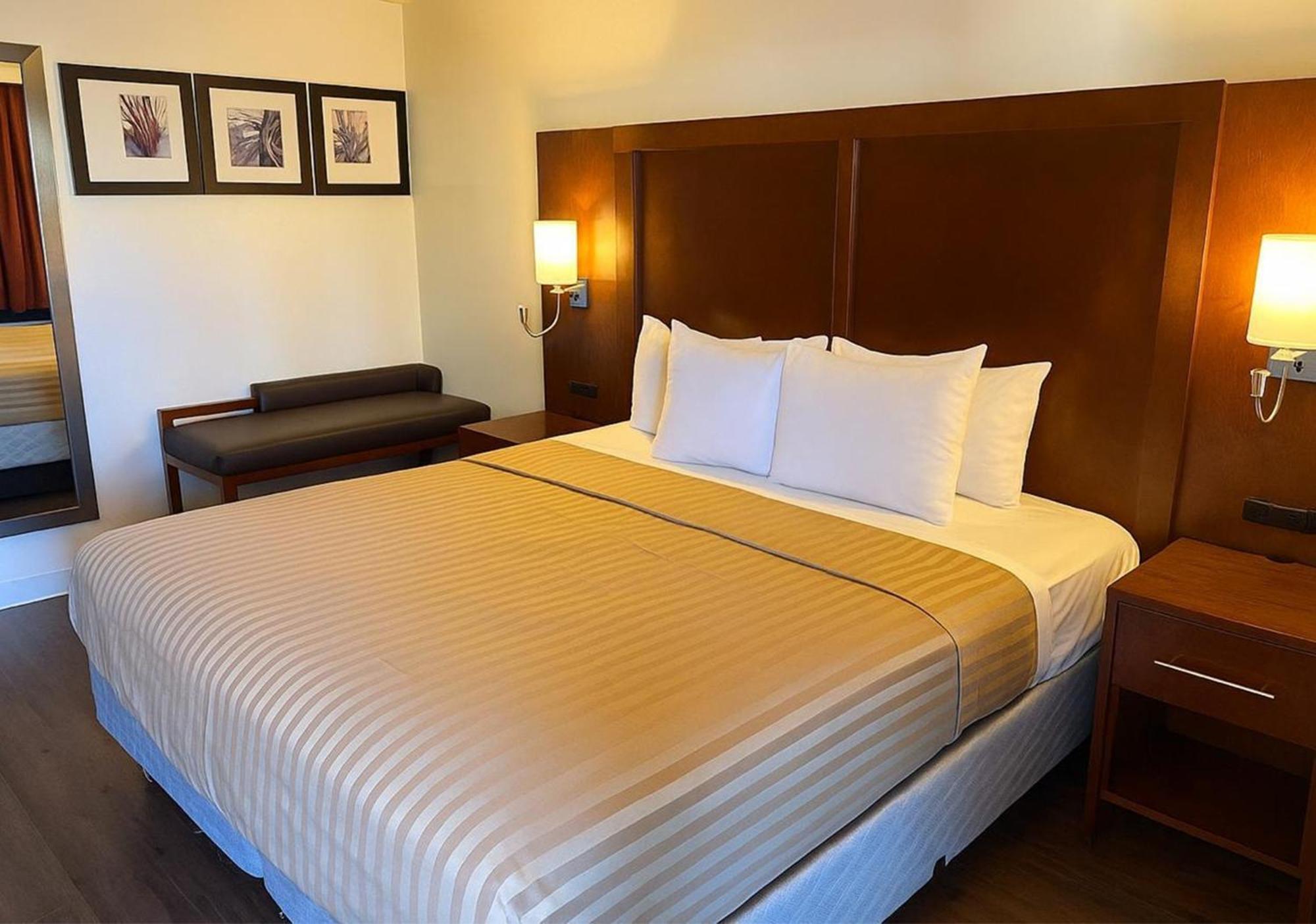 Deluxe King Room