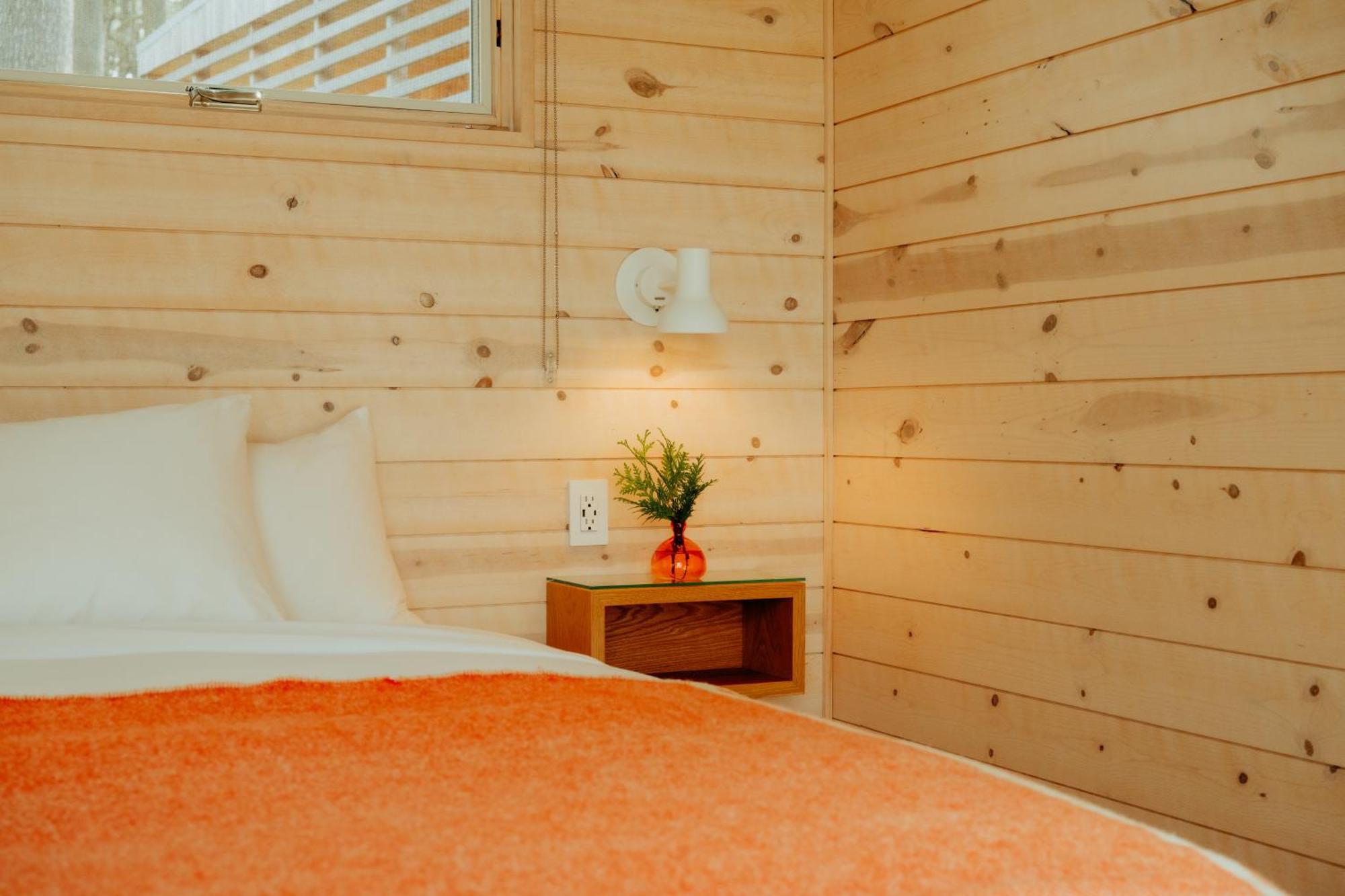 Forest Cabin