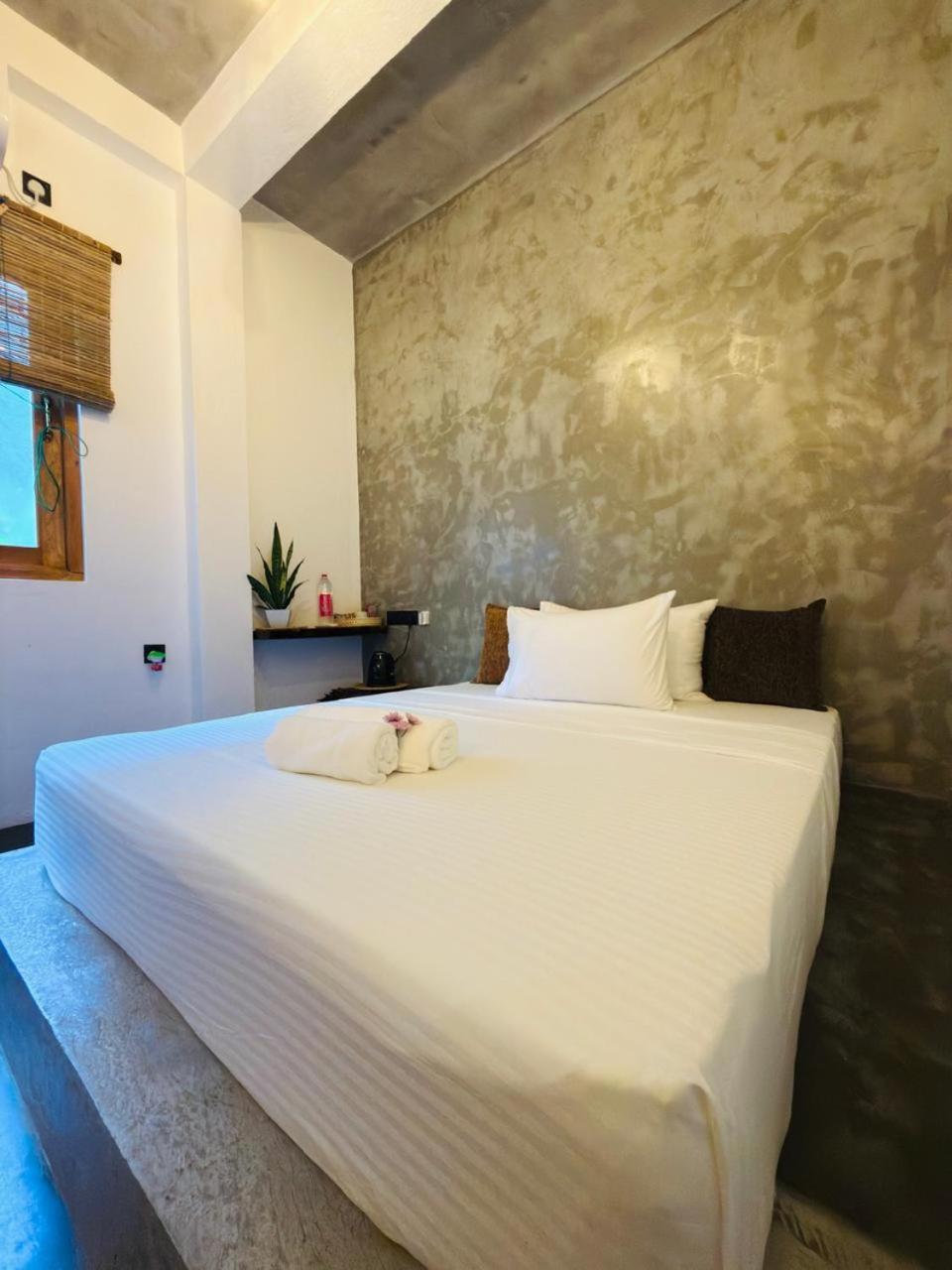 Single Room,1746804651:JPEG