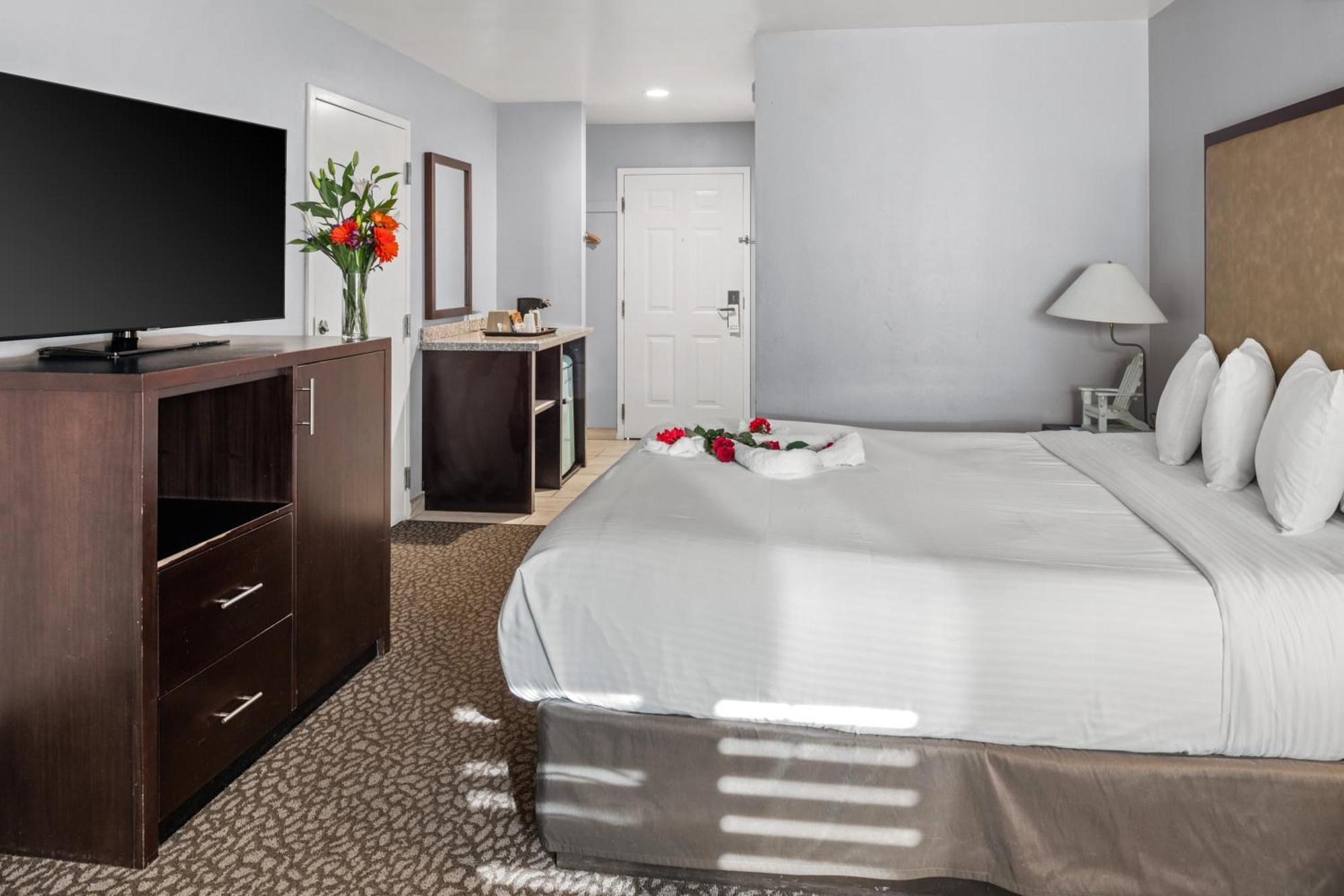 Habitación Estándar - Cama extragrande