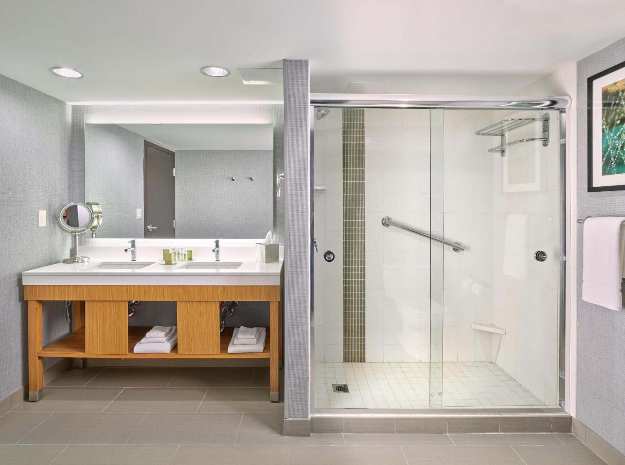 One-Bedroom King Suite