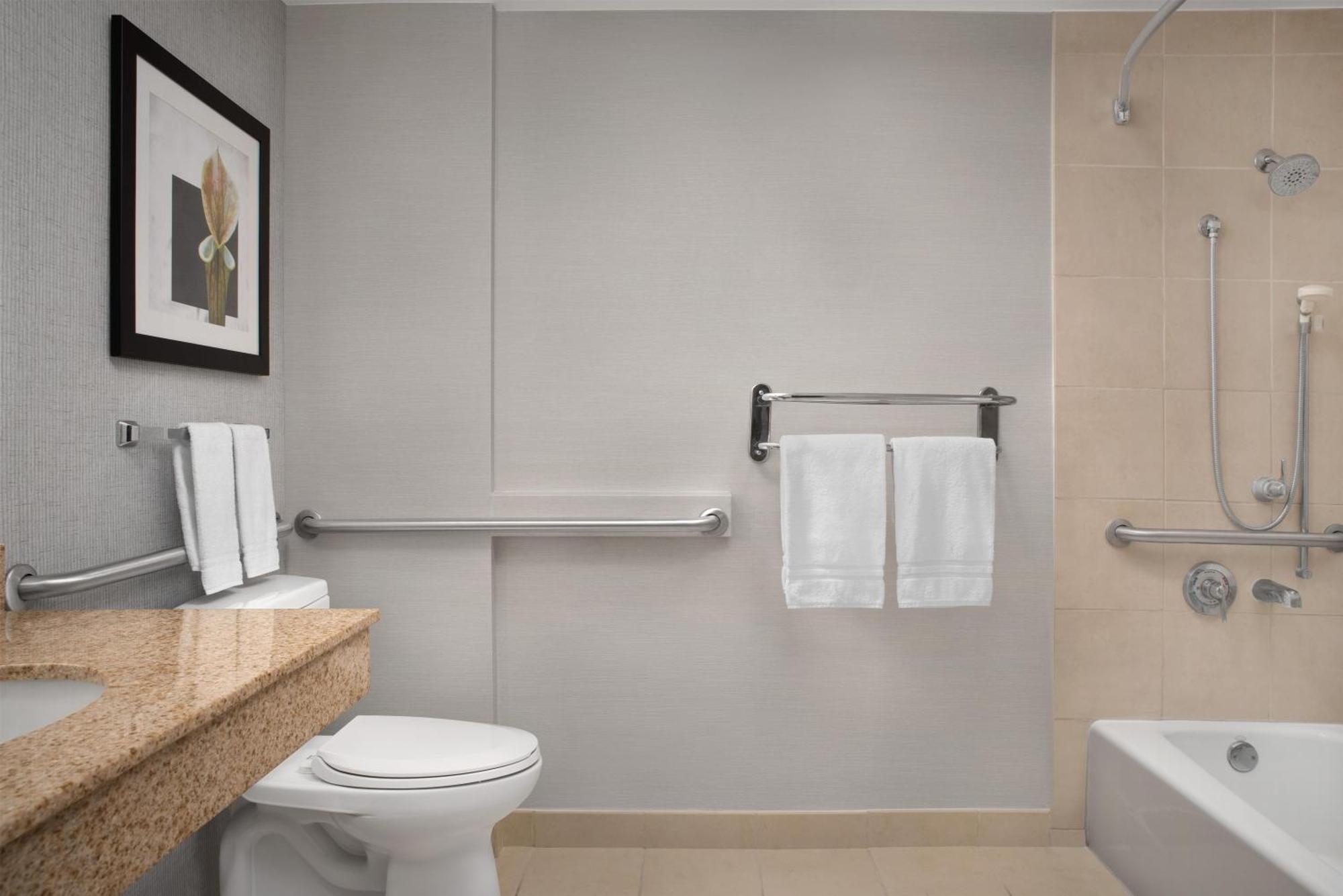 King Room Bath Tub Mobility Access