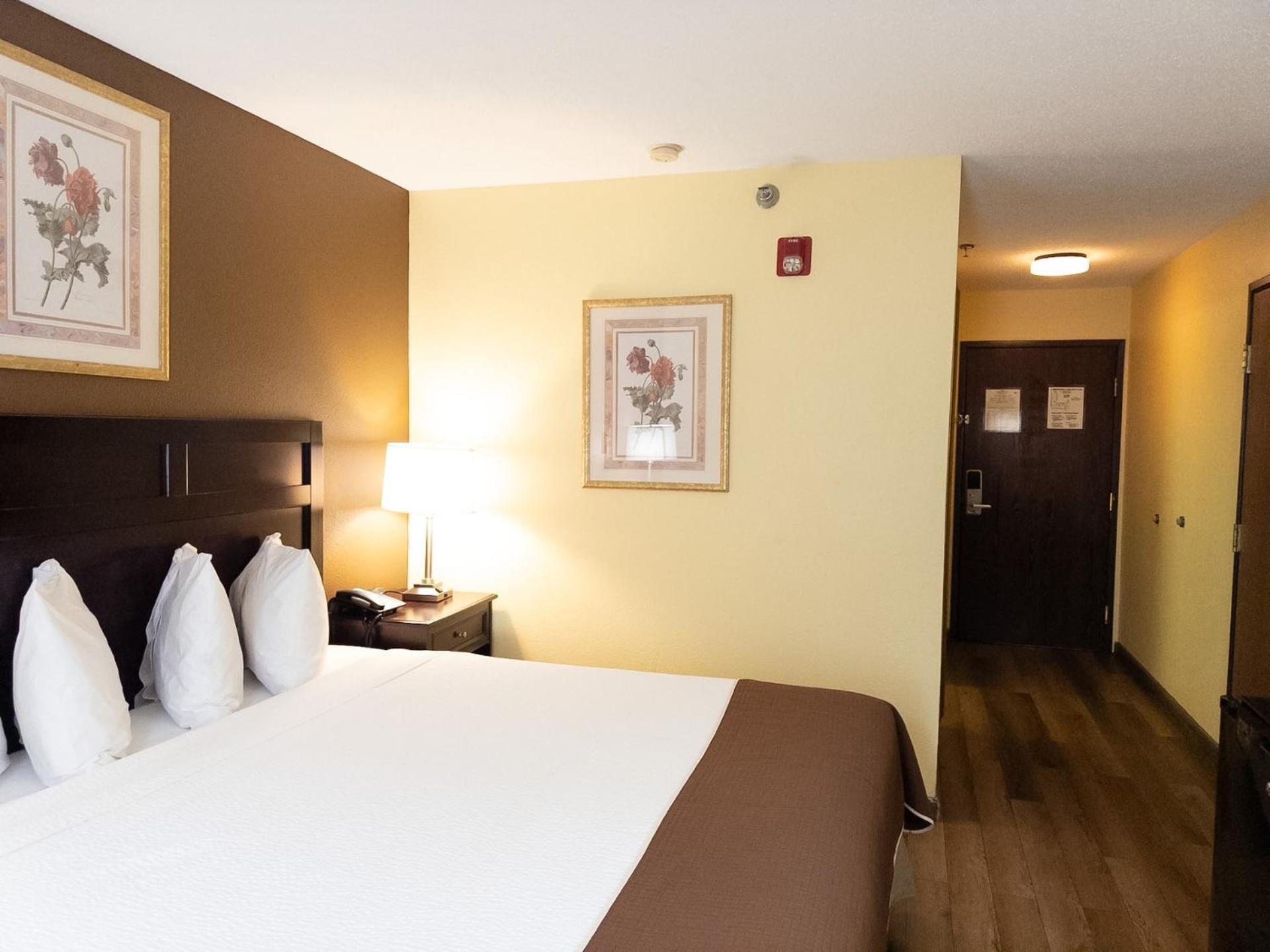King Room - Disability Access/Non-Smoking