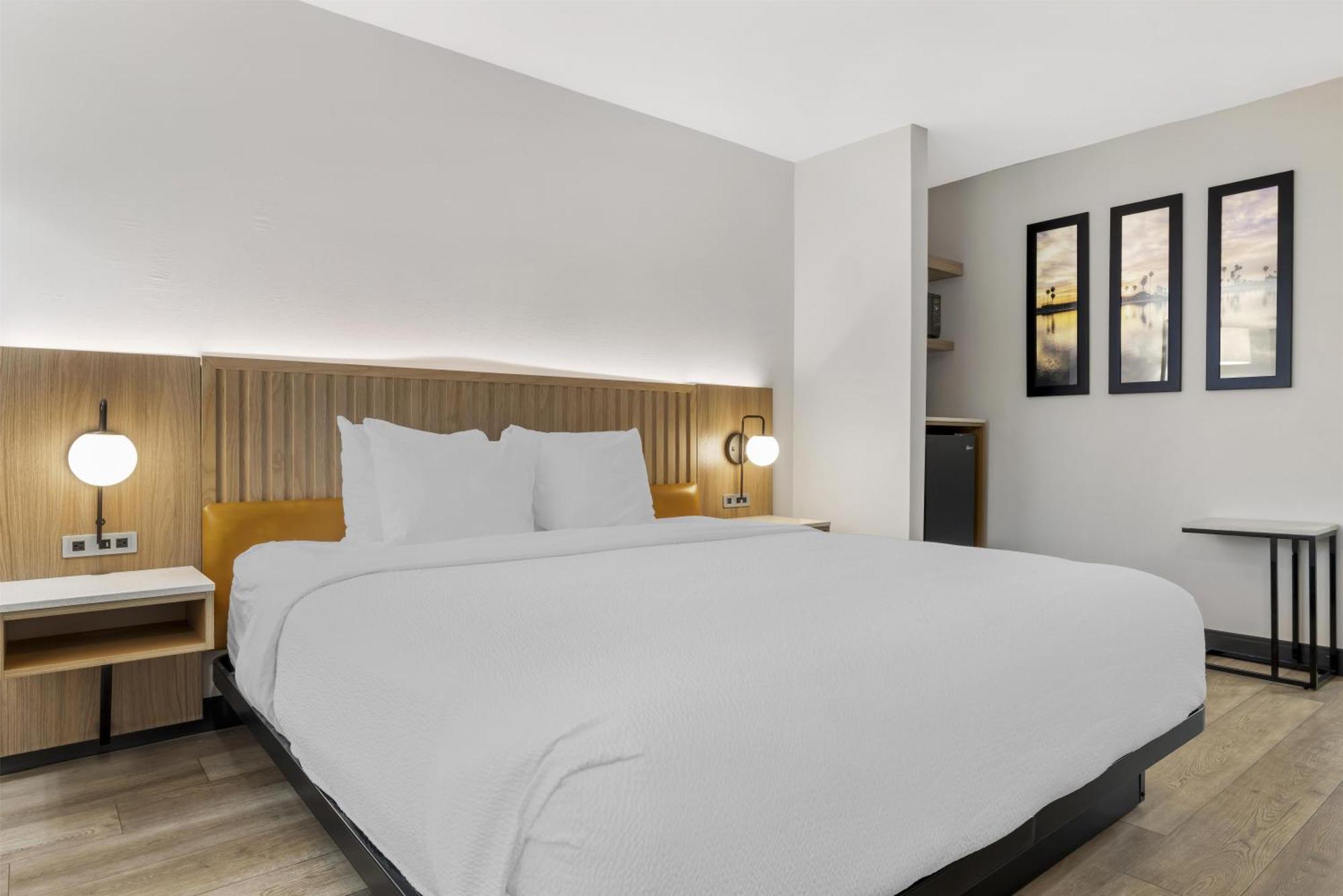 Kamer met Kingsize Bed en Rolstoeltoegankelijke Douche - Toegankelijk voor Gasten met een Lichamelijke Beperking / Rookvrij