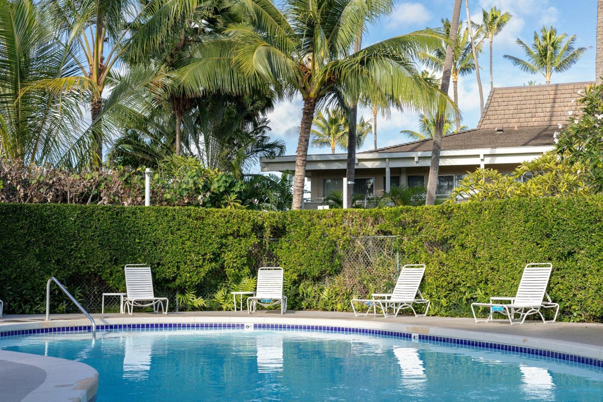 Pool View One Bedroom Suite 1 King Bed with Sofa Bed