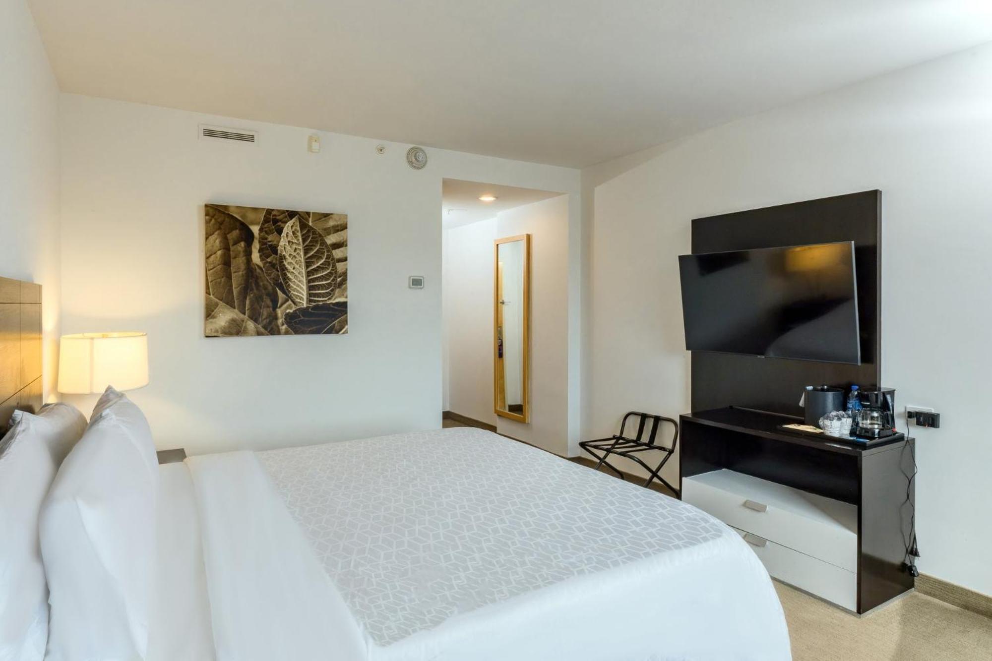 King Suite with Additional Kitchen Area