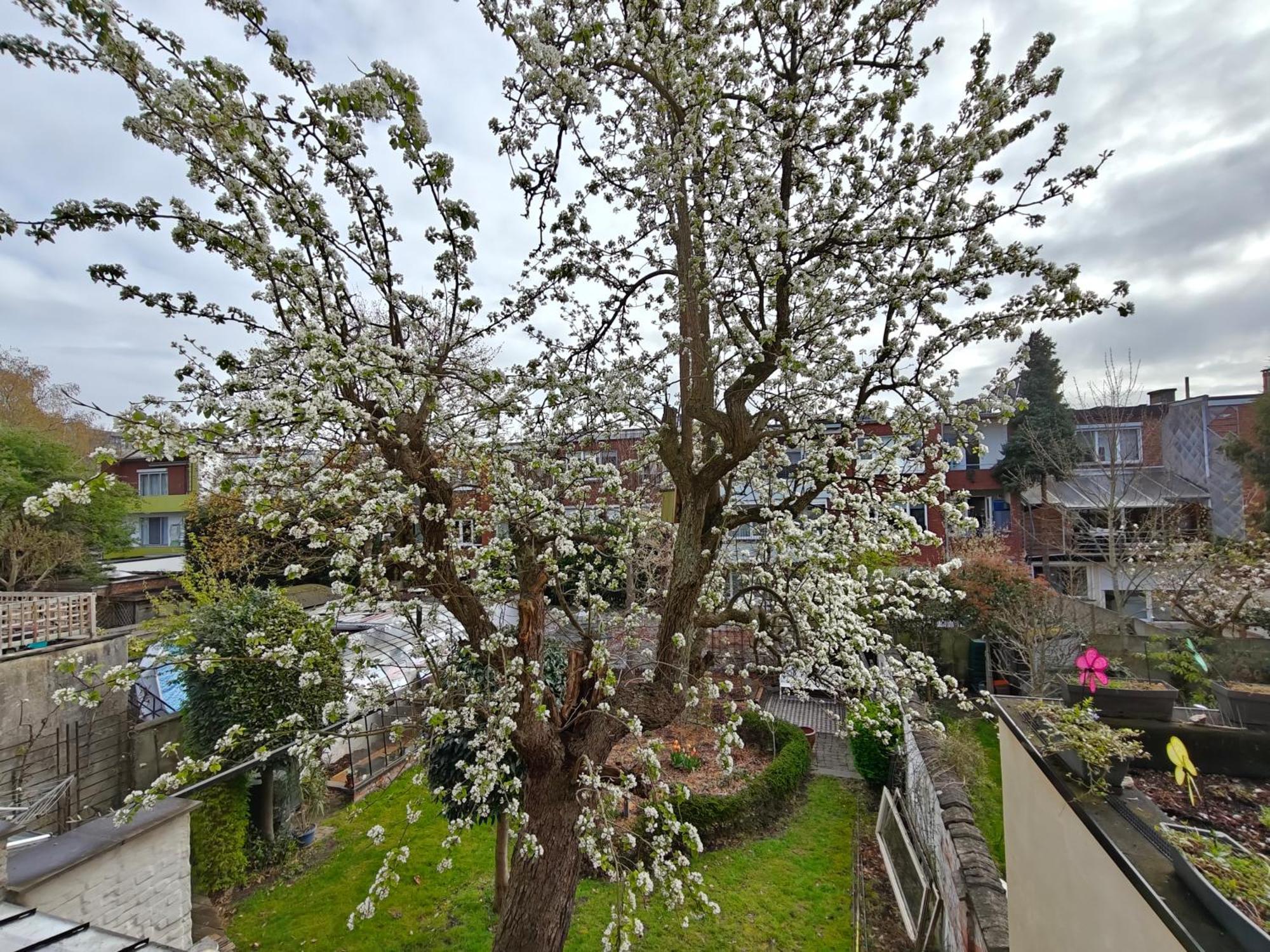 Double Room Terrace