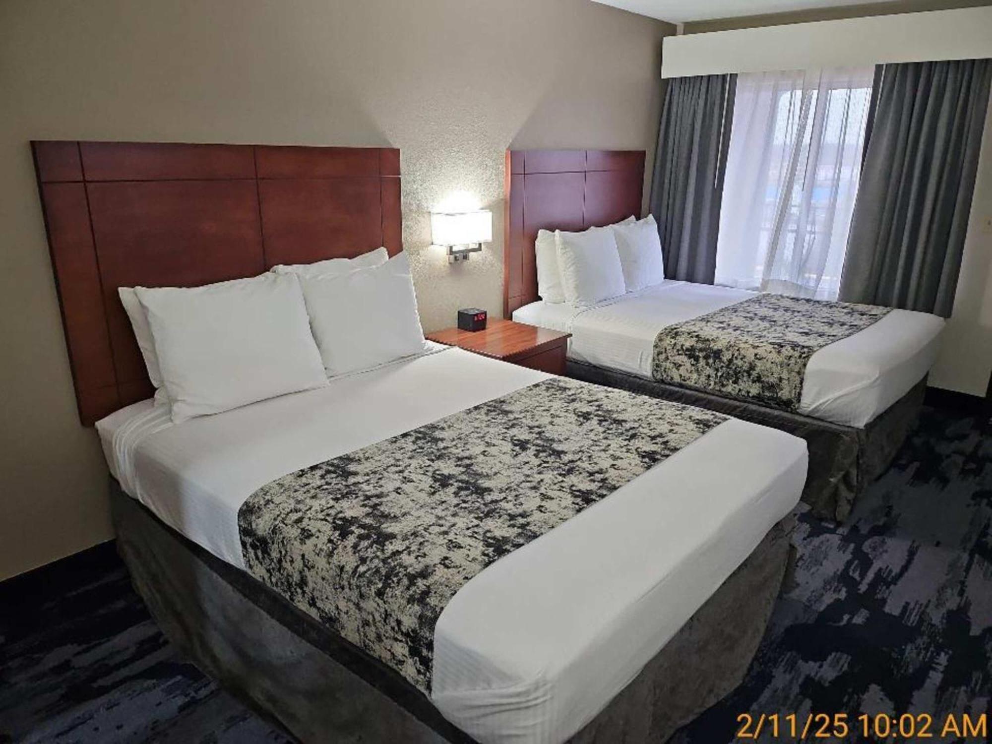 Queen Room Two Queen Beds
