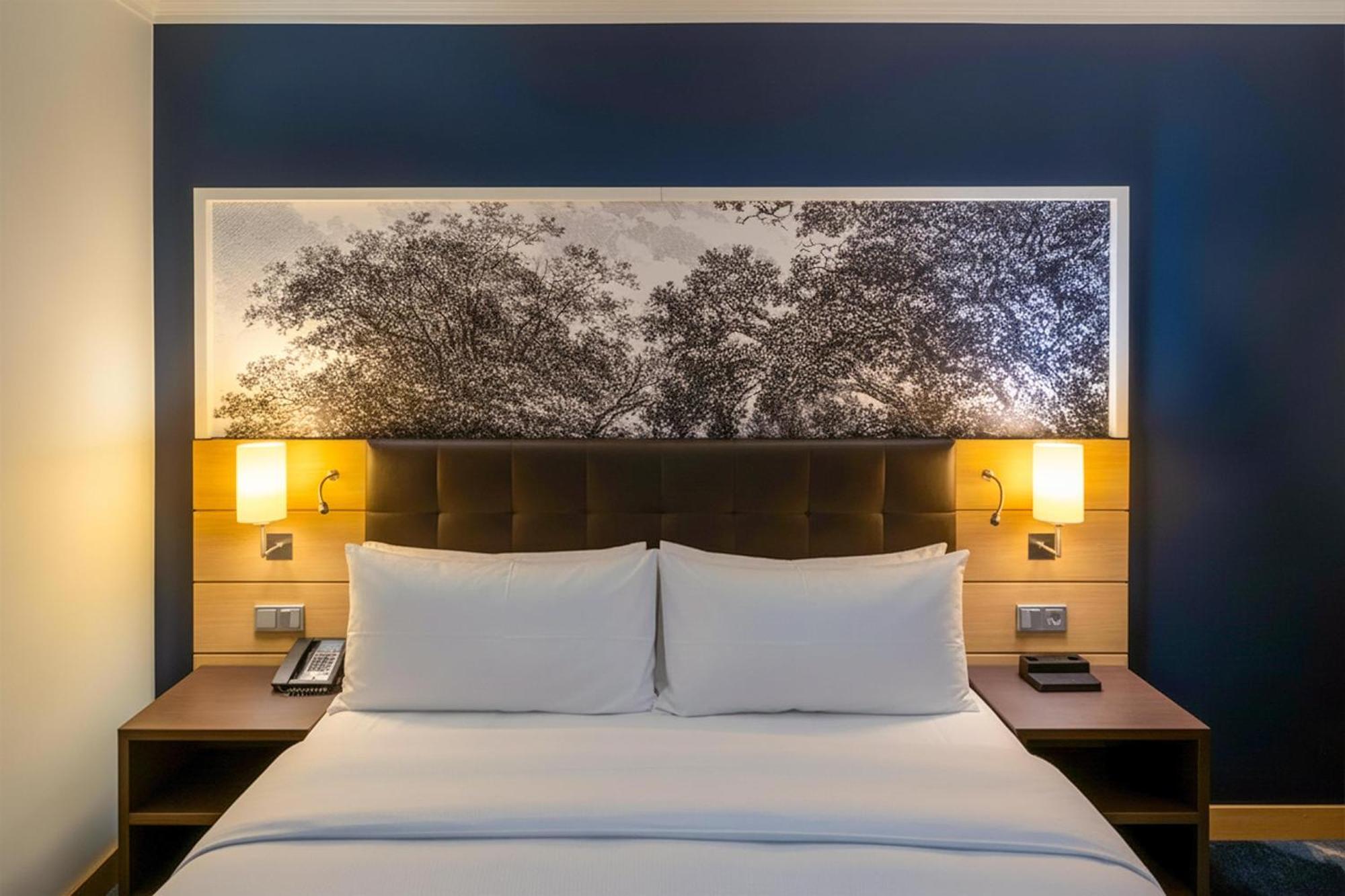 King Executive Room River View Rhine Wing