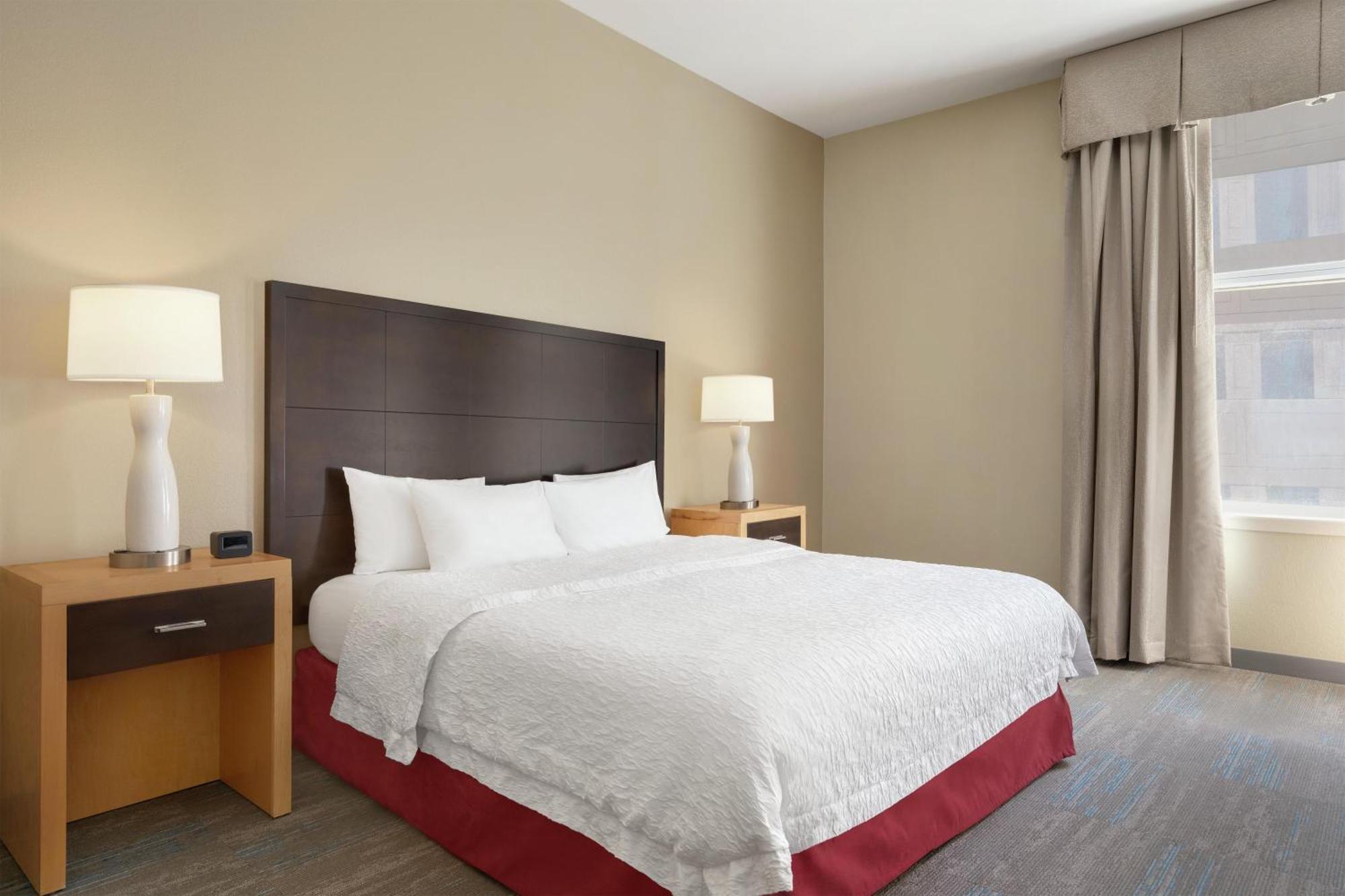 Estudio con cama extragrande y sofá cama