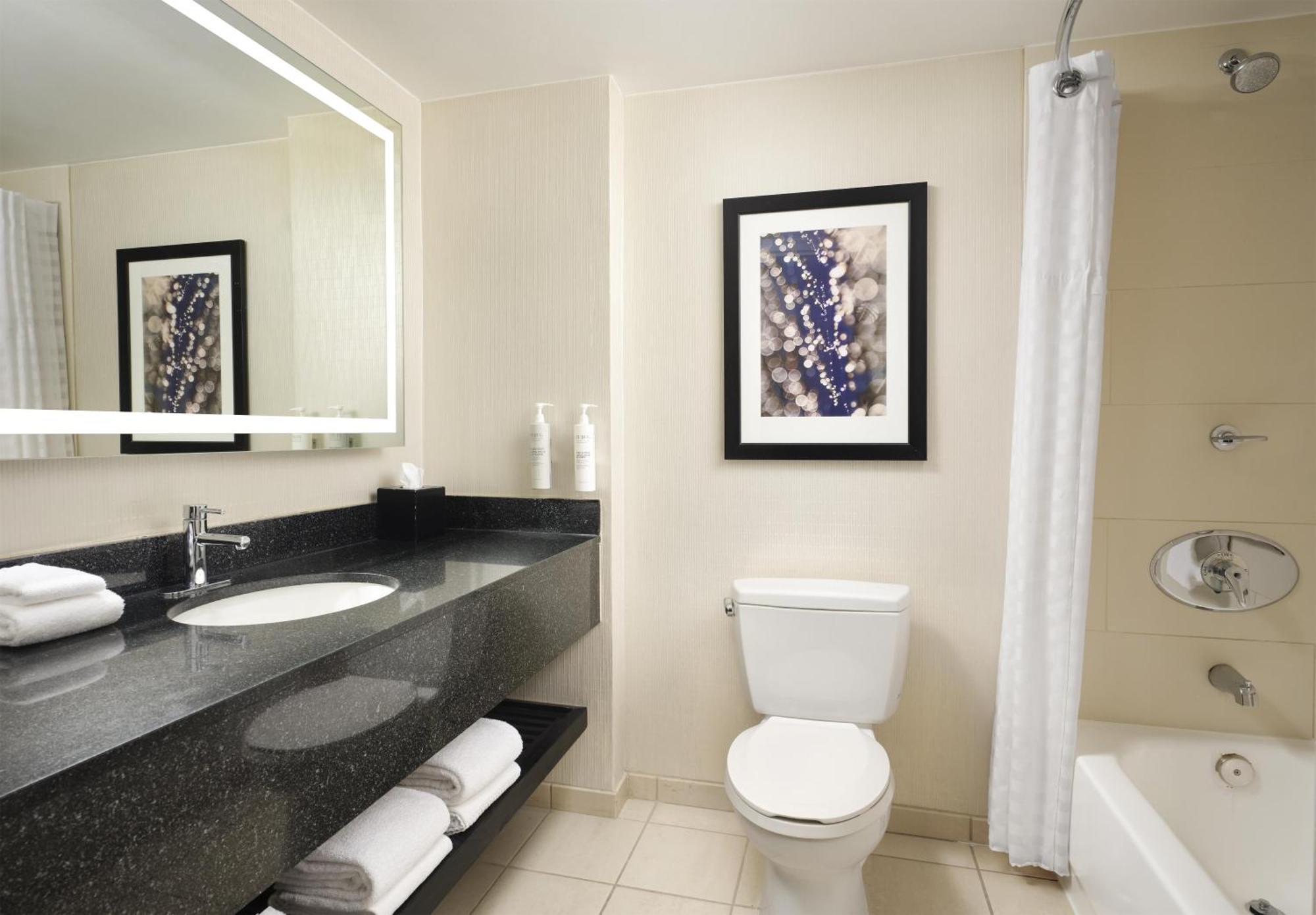 Suite Lit King-Size Premium - Vue sur Ville - Non-Fumeurs