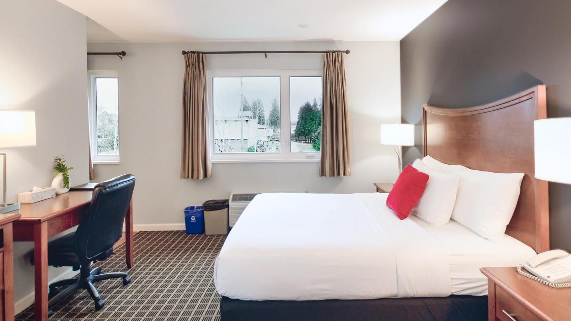 Standard Queen Room