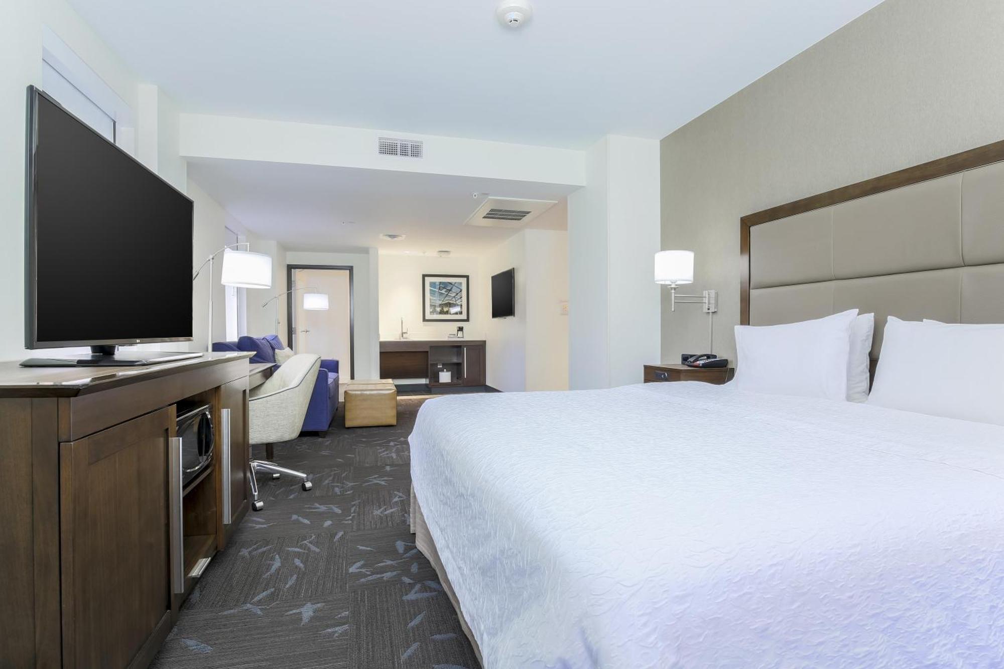 Suite Deluxe con cama extragrande para no fumadores