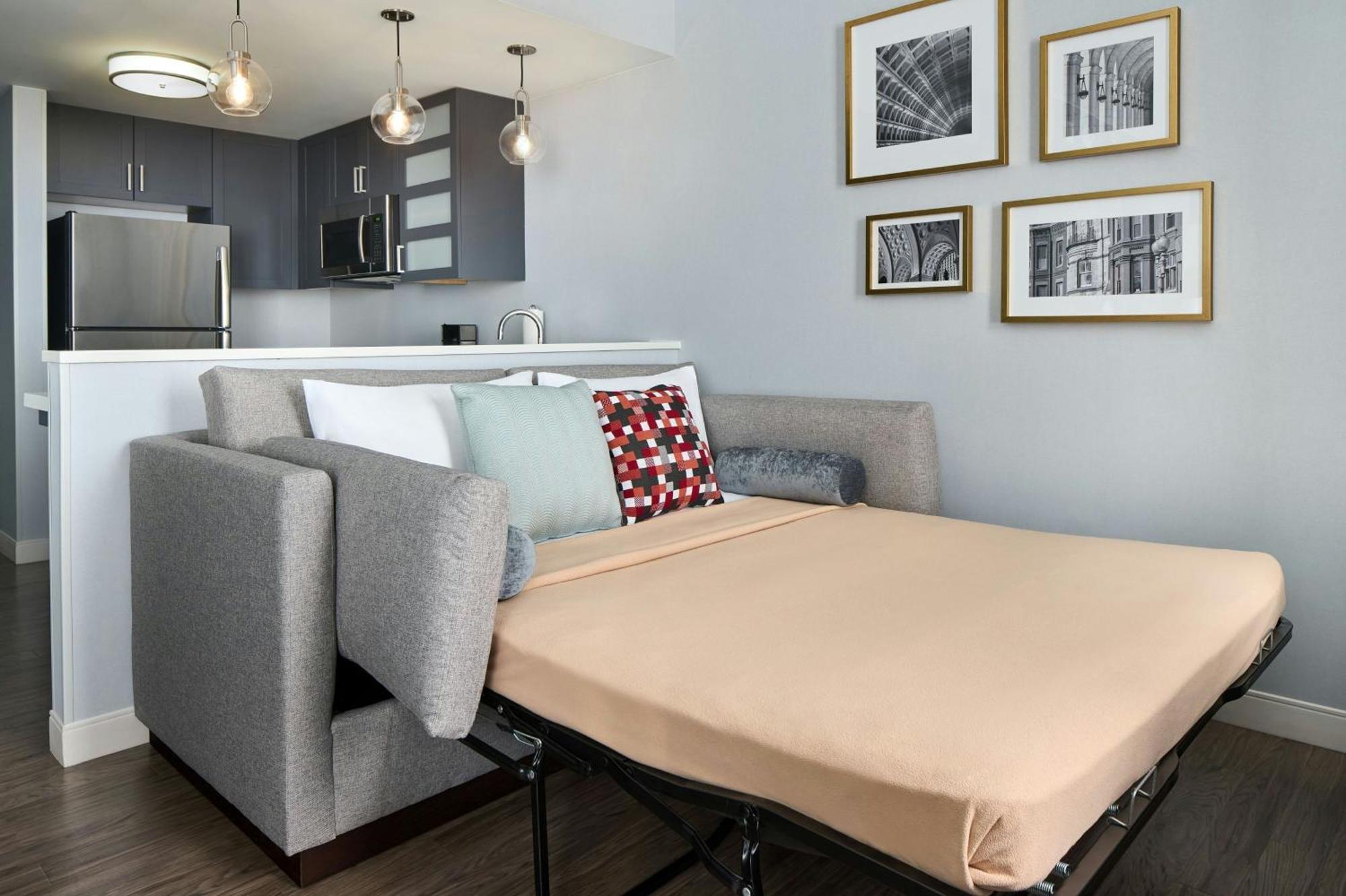 1 Bedroom Suite 2 Queen Sofa Bed