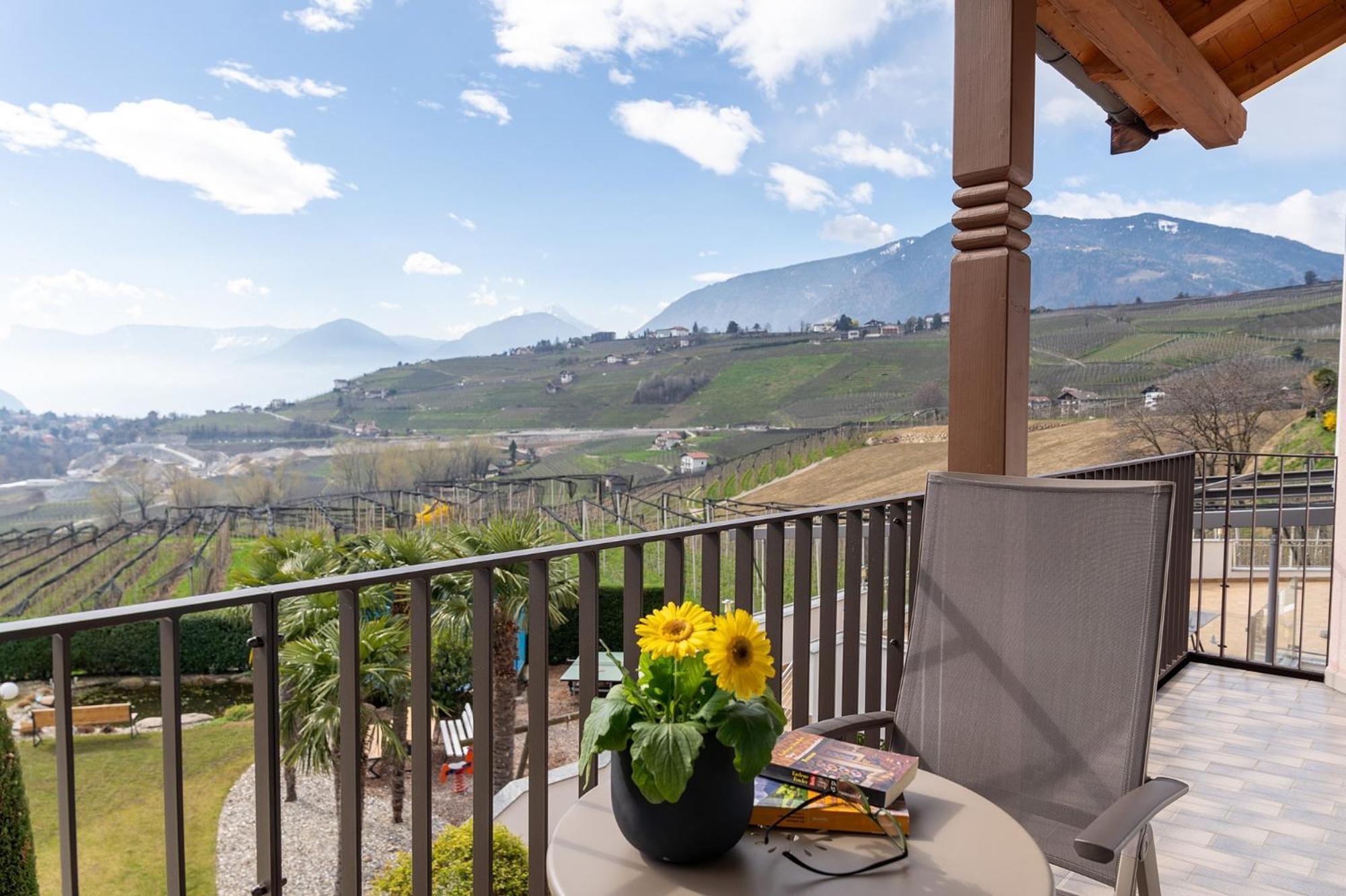 Double Room Mountain View