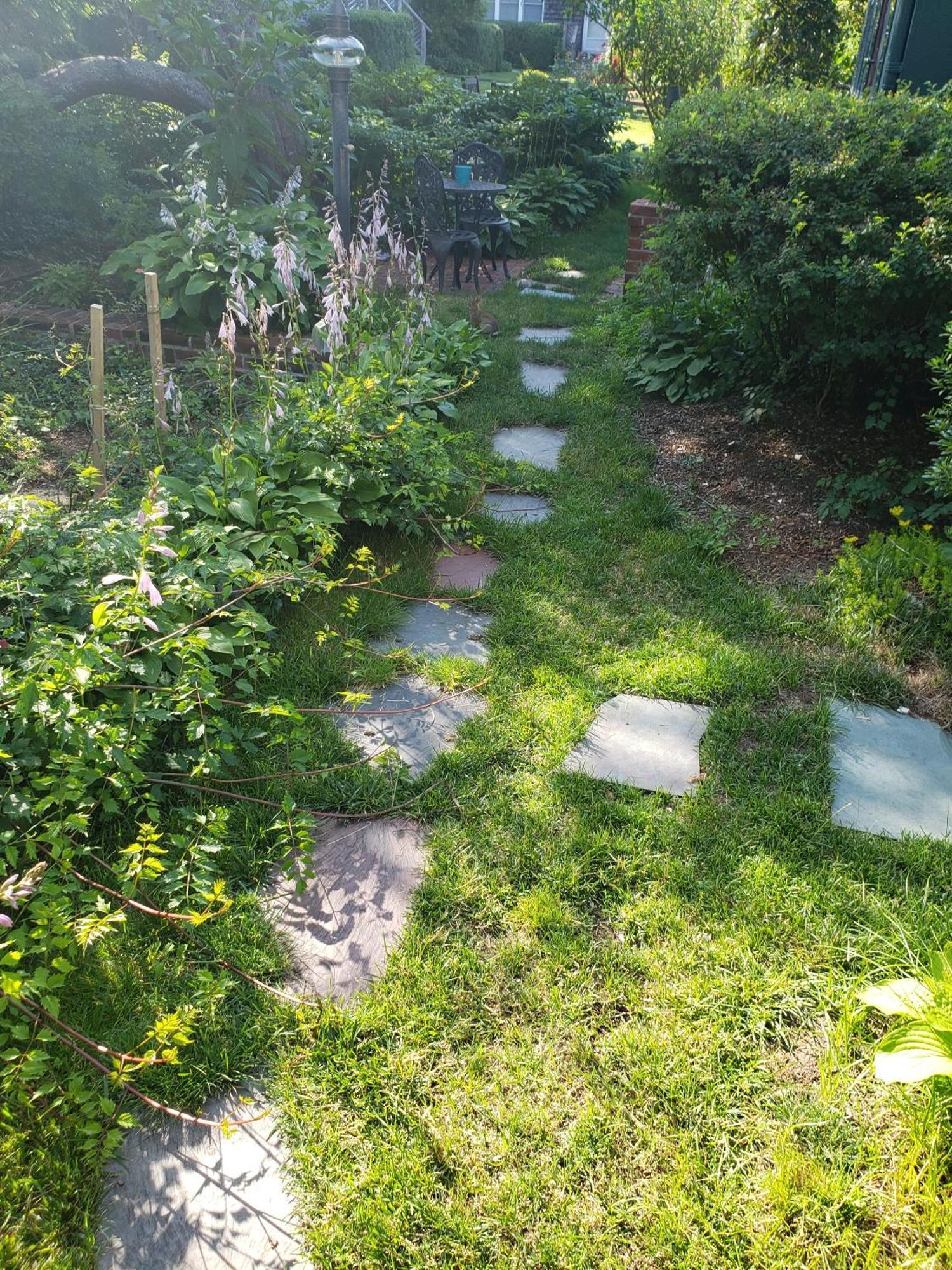 Suite Garden View
