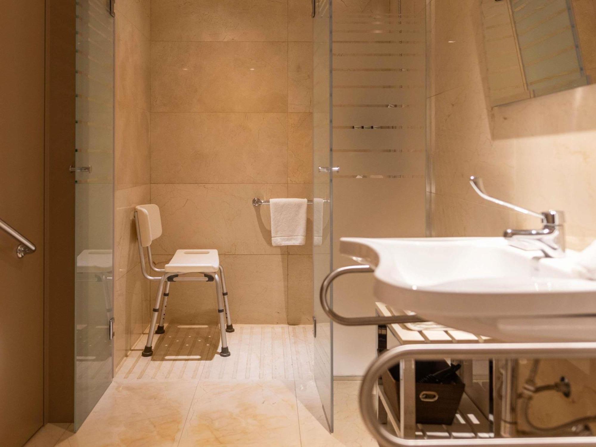 Deluxe King Suite Park View Mobility Accessible