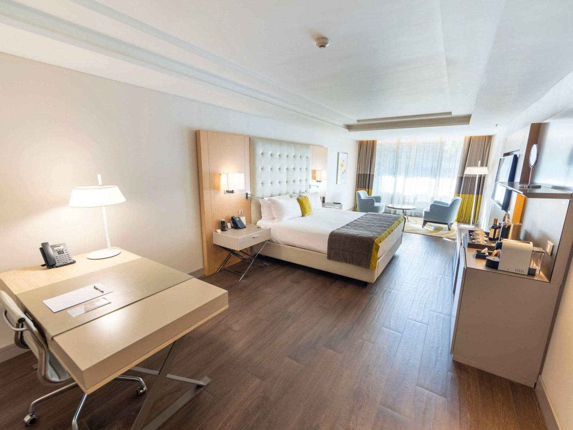 Deluxe King Suite Park View Mobility Accessible
