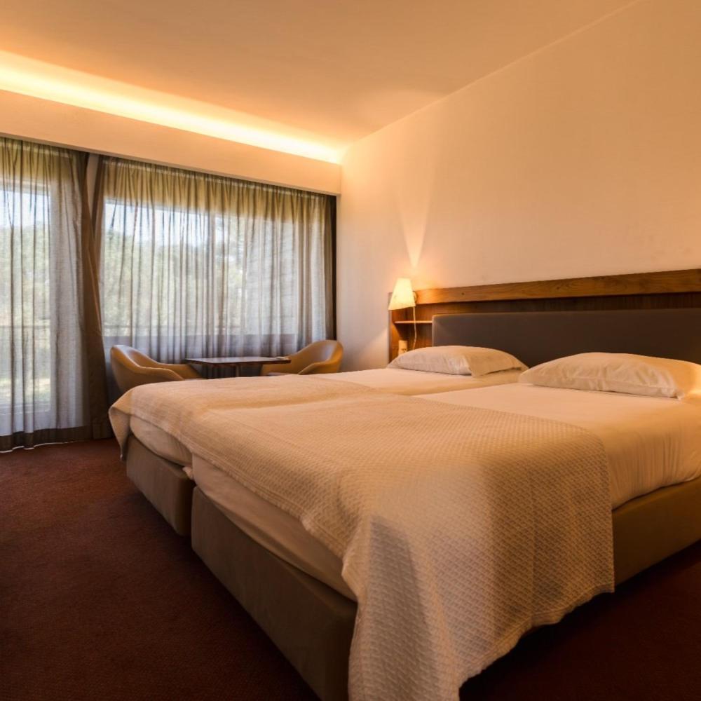 Double or Twin Room with Garden View