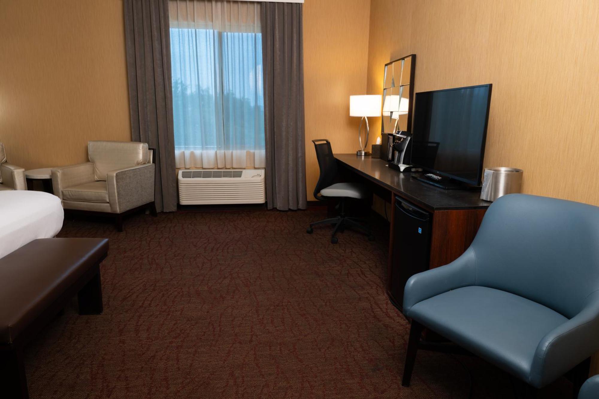 Deluxe King Suite