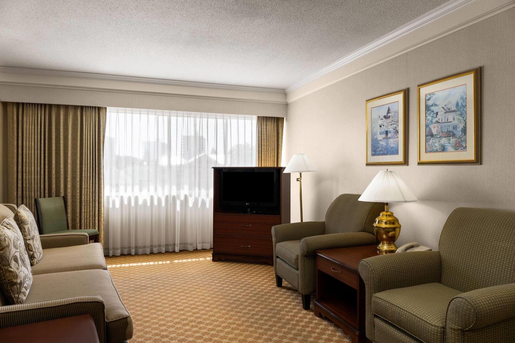 Suite Estudio con cama grande - No fumadores