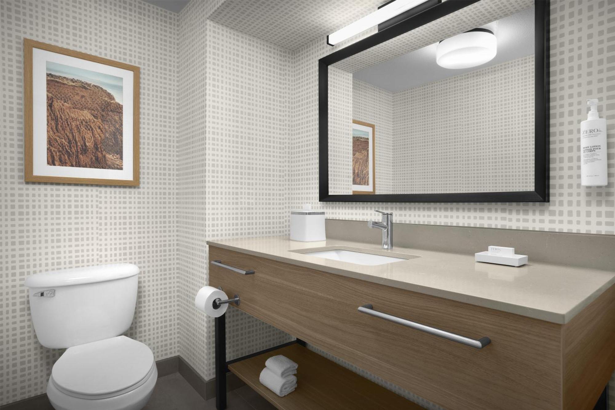 One-Bedroom King Suite Non-Smoking