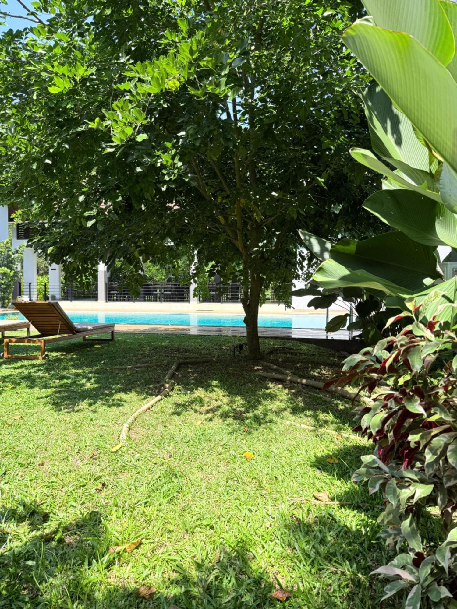 Suite Familiale Deluxe