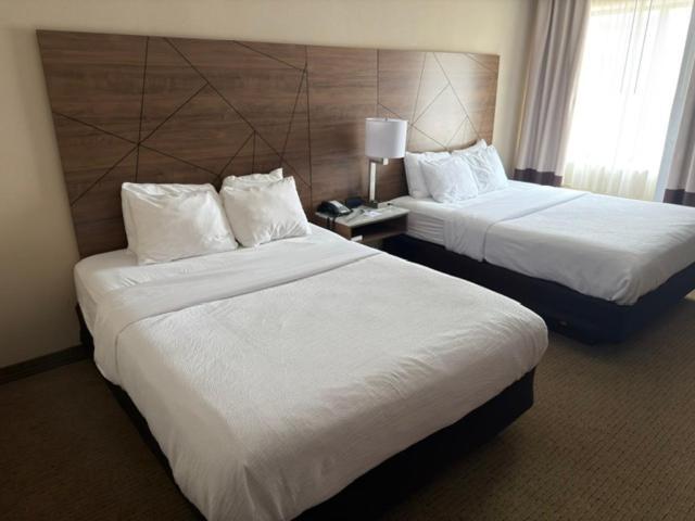 Deluxe Queen Room with Two Queen Beds - Non-Smoking