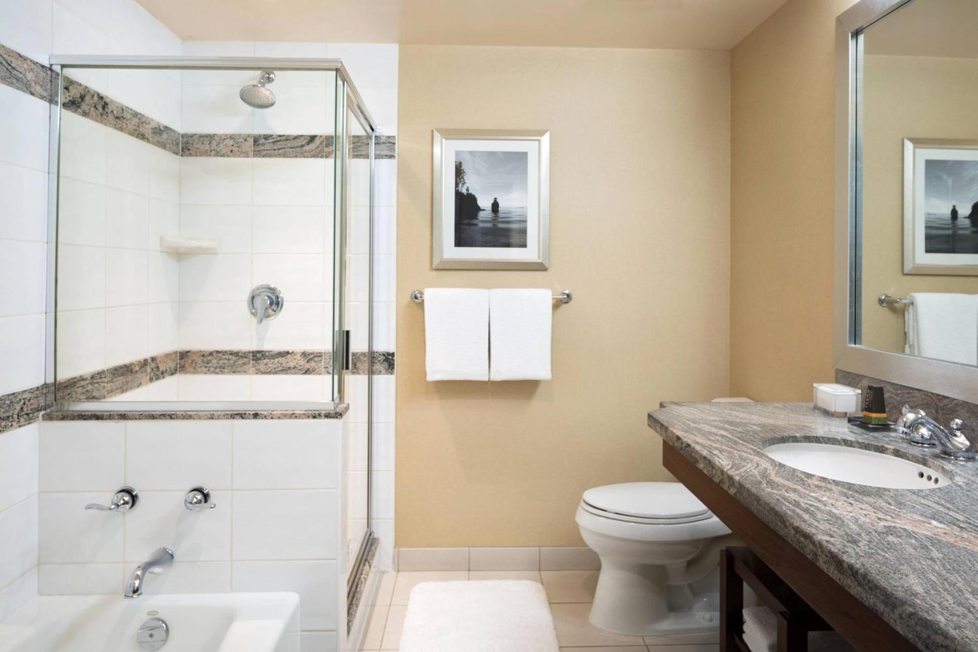 One-Bedroom King Suite