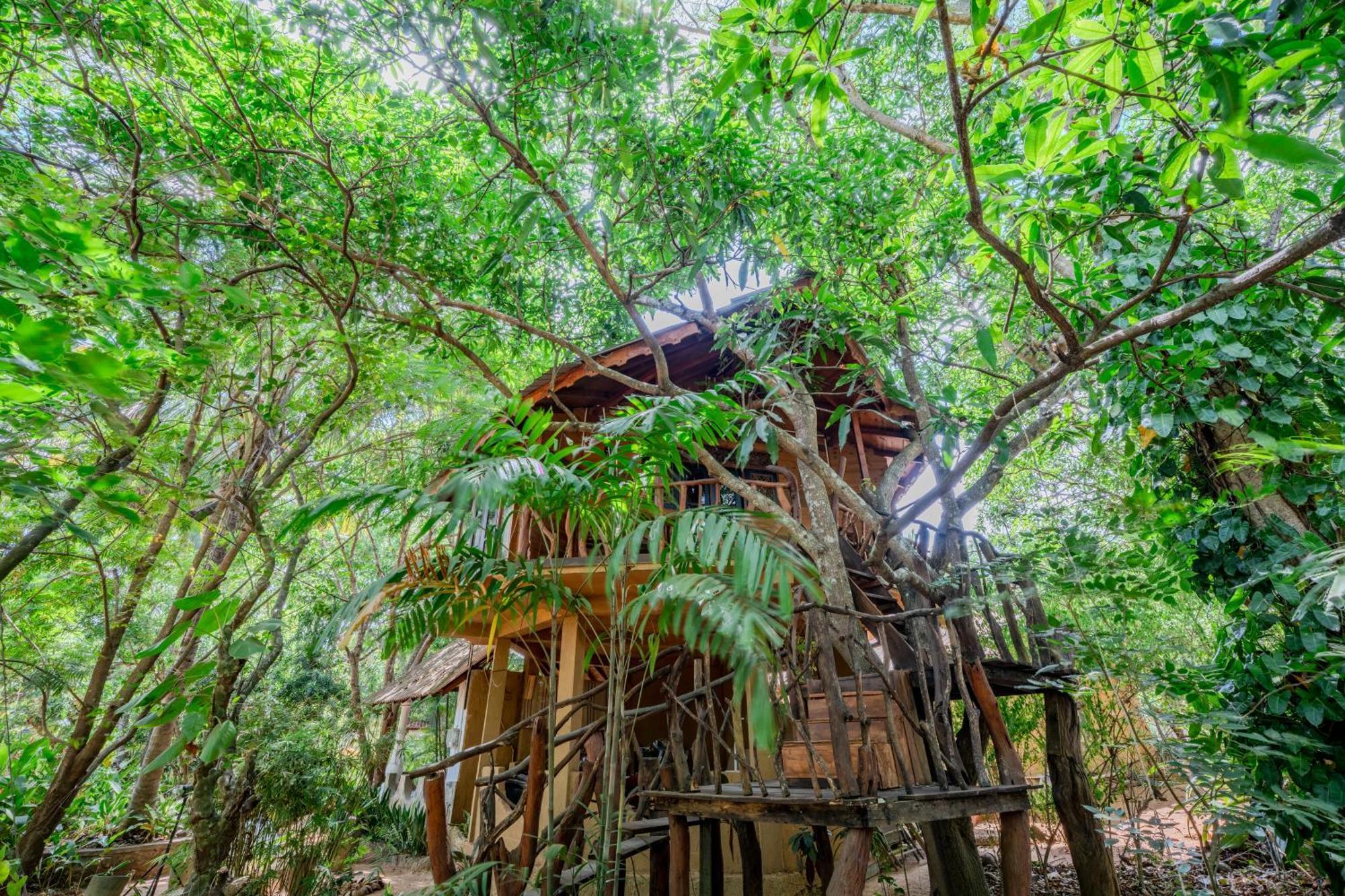 Tree House