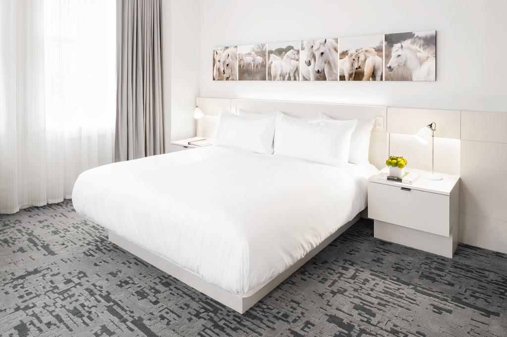 Deluxe King Room,511927311:JPEG