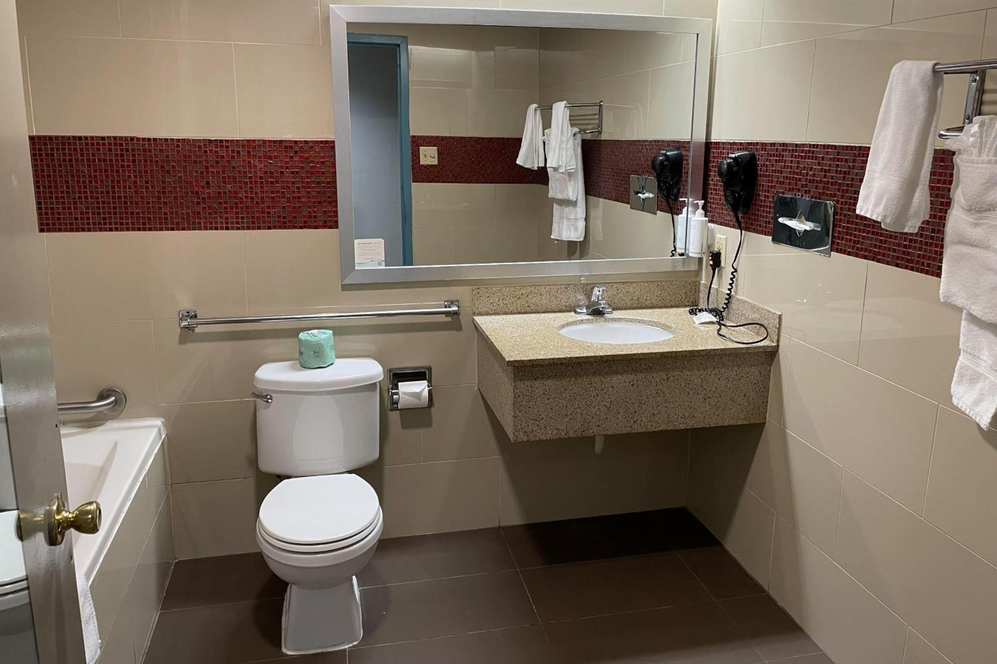 King Room Mobility Access or Non-Smoking