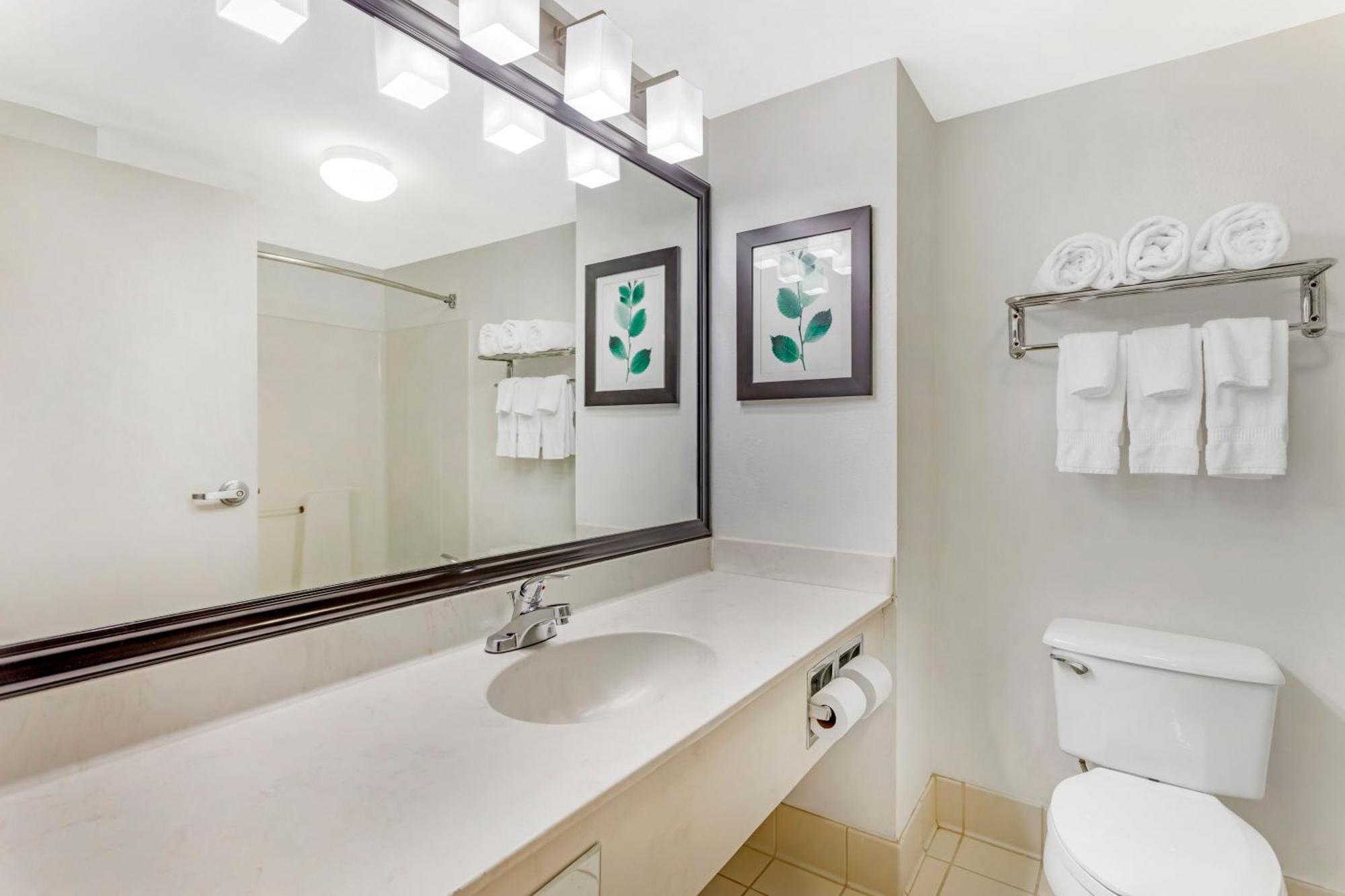 One-Bedroom King Suite - Non-Smoking