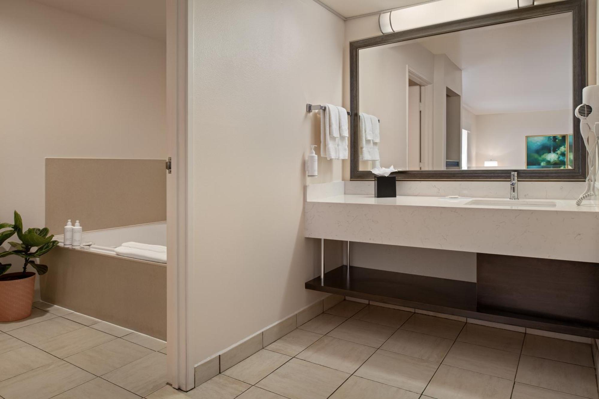 Executive One-Bedroom Suite