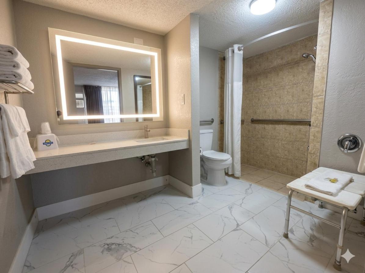 King Room Roll Shower Lounge Chair Mobility Accessible or Non-Smoking