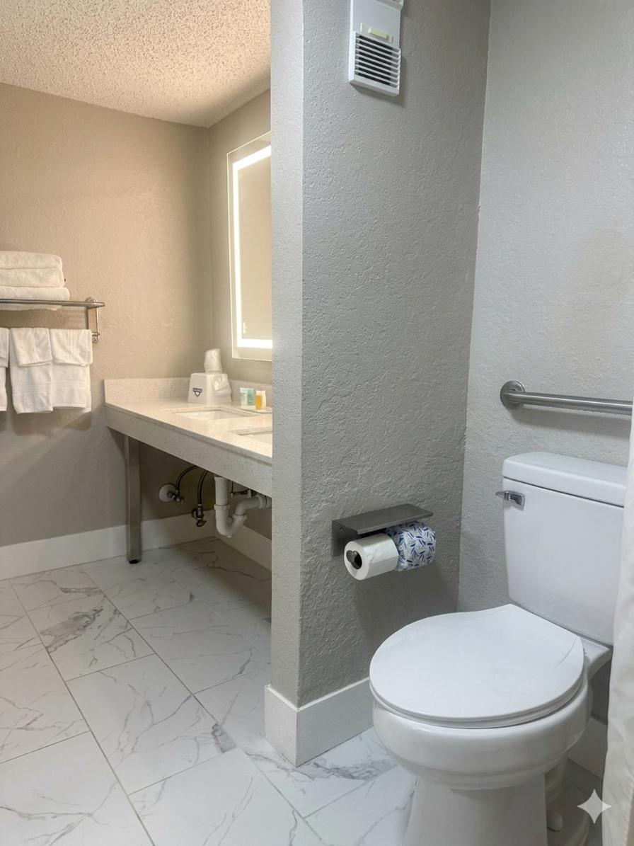 King Room Roll Shower Lounge Chair Mobility Accessible or Non-Smoking